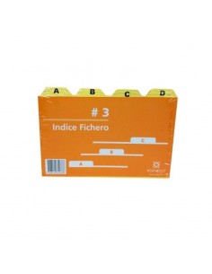 Ficha Para Fichero Igneo N3 Con Indice