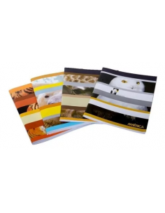 Cuaderno America Liso T/f 48 Hjs