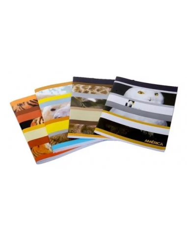 Cuaderno America Liso T/f 48 Hjs