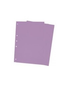 Separadores Mil28 De Materias N3 Violeta